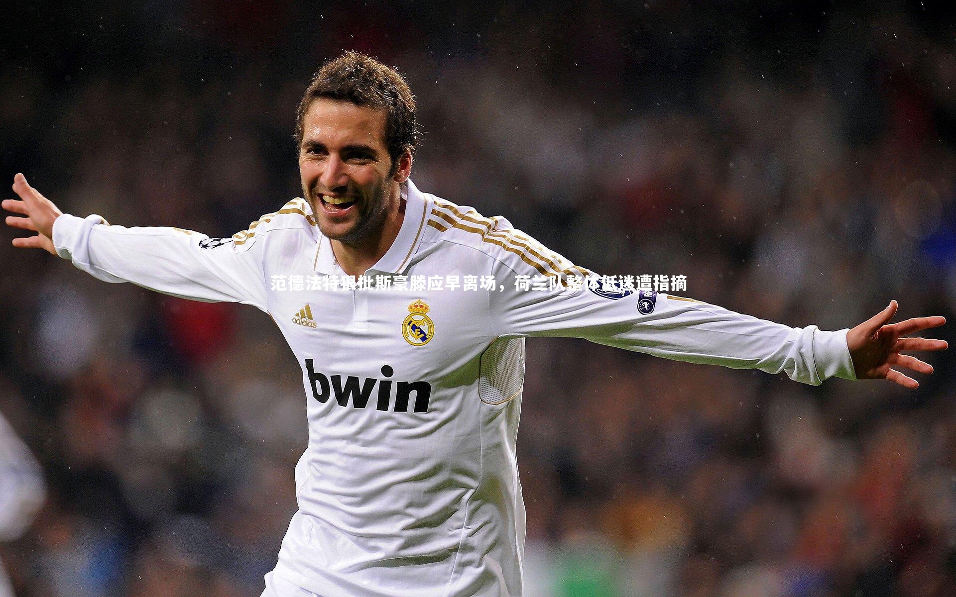 范德法特狠批斯豪滕应早离场，荷兰队整体低迷遭指摘