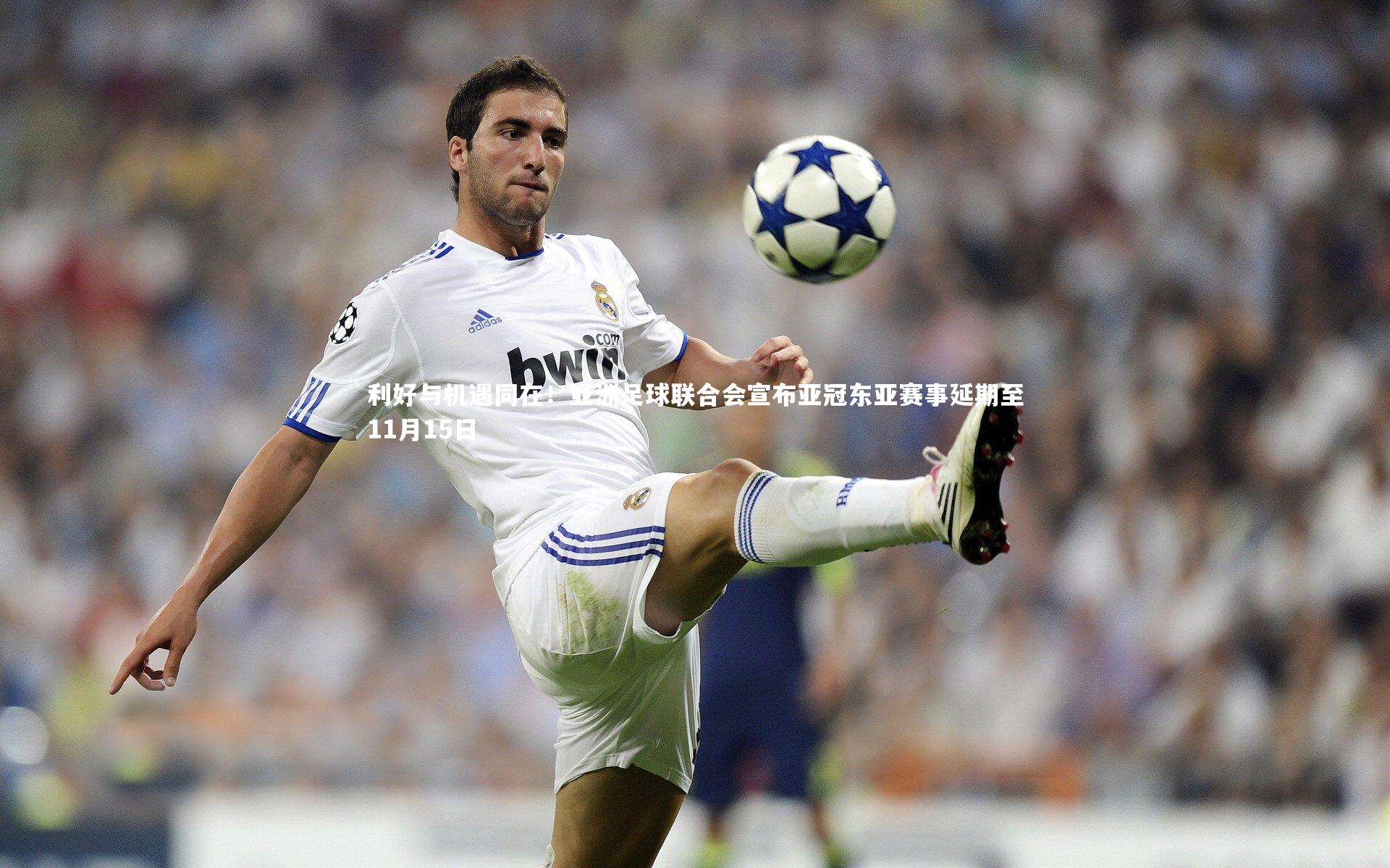 利好与机遇同在！亚洲足球联合会宣布亚冠东亚赛事延期至11月15日